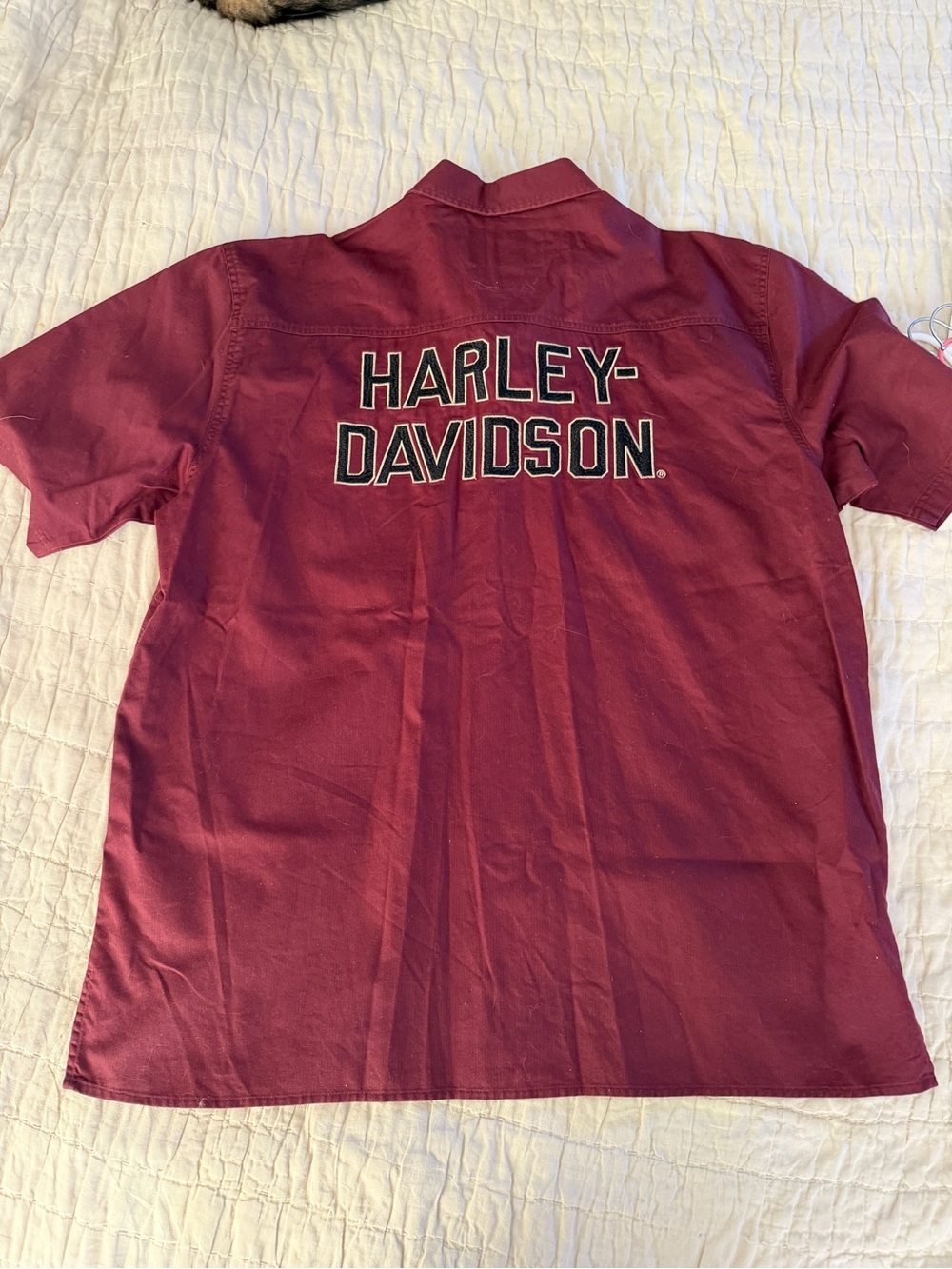 Harley-Davidson Men's Short Sleeve Button-Down Shirt - Maroon with Black Logo